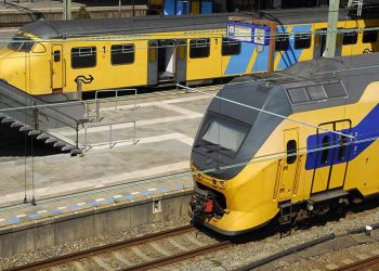 صورة.جلوبال برس