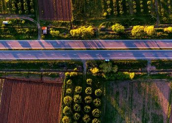 صورة.ريا نوفوستي