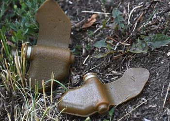 صورة.ريا نوفوستي