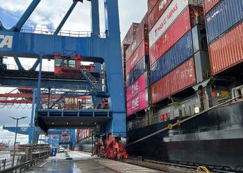 صورة.رويترز