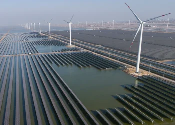 عالم الأعصاب كريستيان دولر يفوز بجائزة لايبنتس بقيمة €2.5 مليون