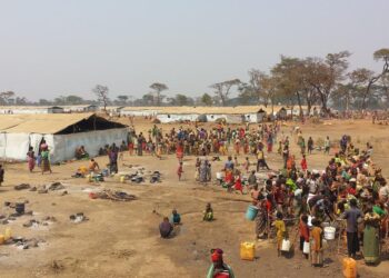 روسيا تخطط لاعتماد البرمجيات المحلية في 80% من شركات الزراعة والصيد بحلول 2030